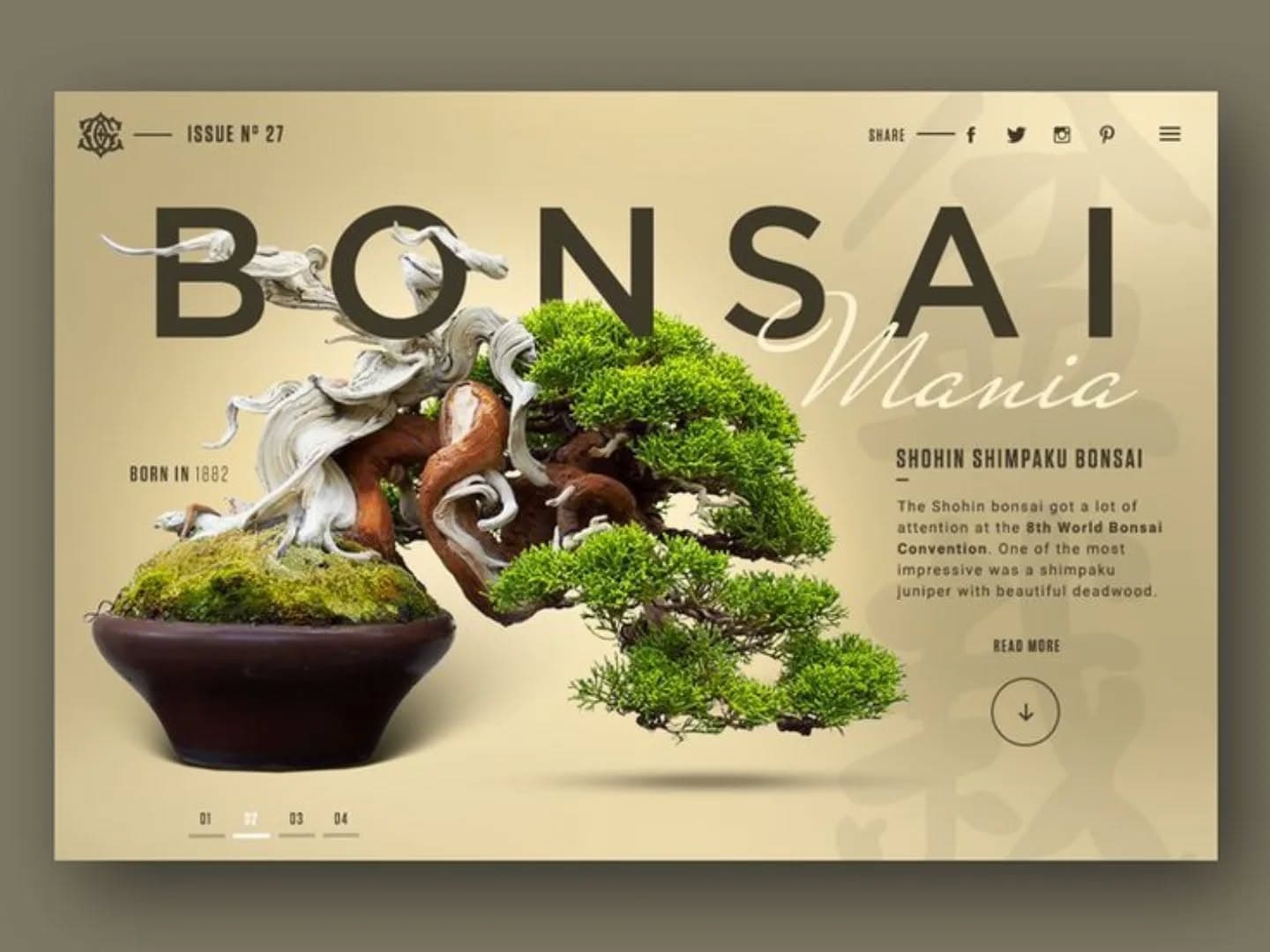 Bonsai magazine landing page